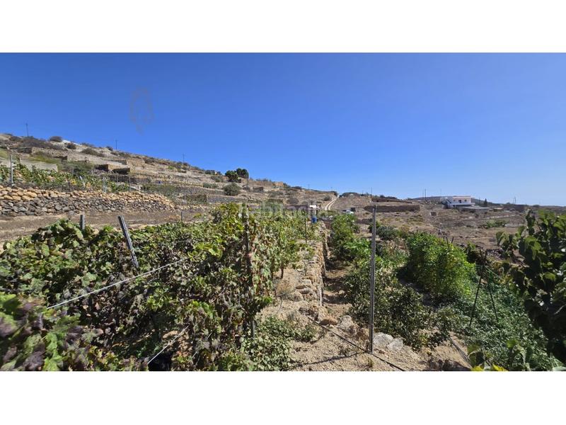 Foto ad0fa4f9-7bbc-4dc0-ae8a-c107d9fef8f2. Country house with parking in Fasnia