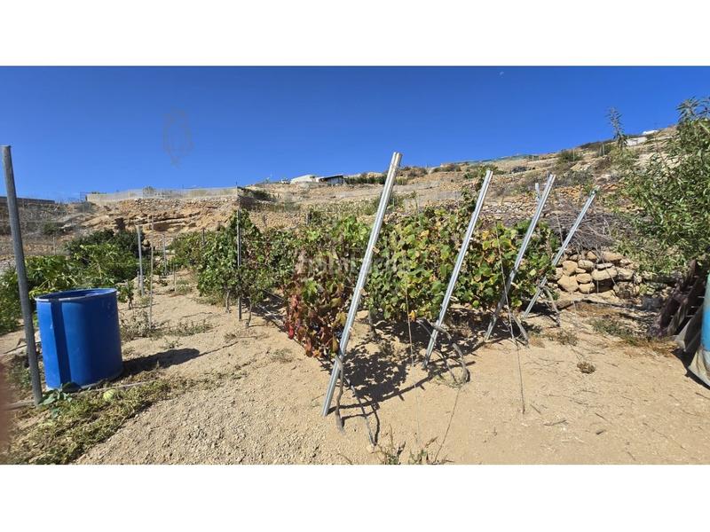 Foto b3edee84-8b62-4472-9788-3bf528118712. Country house with parking in Fasnia