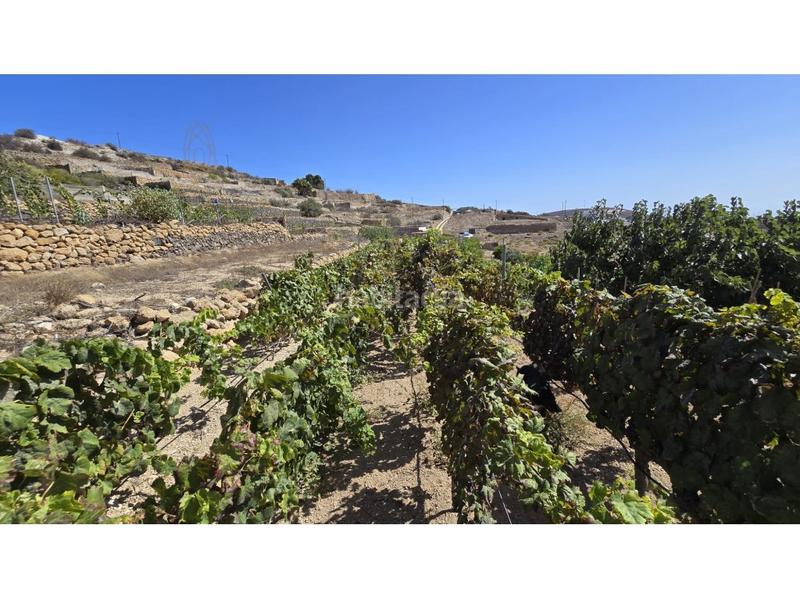 Foto e37fed5a-8ea5-437c-9324-44b8ff73981c. Country house with parking in Fasnia