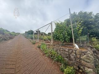 Maison  N/a. Finca rustica en el sauzal ravelo.