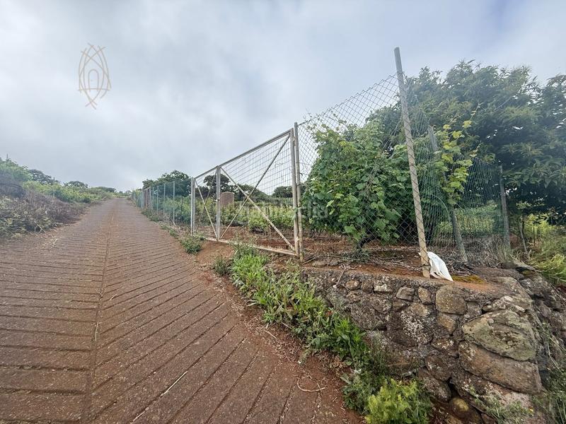 Foto 4b324d46-d4b0-47eb-8d3d-ae78d78ebbe6. Casa finca rústica en el sauzal ravelo. en Sauzal (El)