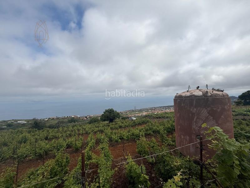 Foto a64a53b1-e817-4105-be74-e624e9ad386a. Casa finca rústica en el sauzal ravelo. en Sauzal (El)