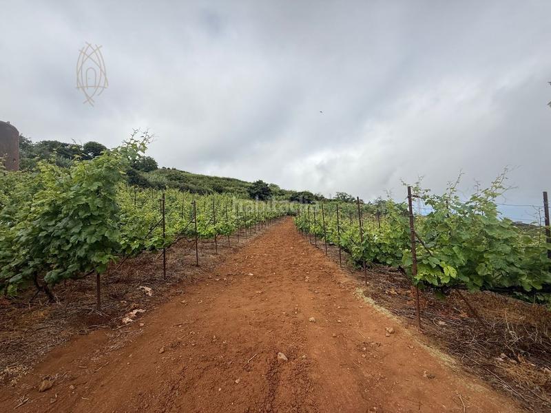 Foto ba9e42a8-2689-471f-a088-6d9c713da7fe. Casa finca rústica en el sauzal ravelo. en Sauzal (El)