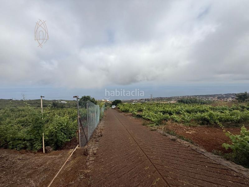 Foto d9b71f96-2255-4ab9-91e7-113b81d14c9f. Casa finca rústica en el sauzal ravelo. en Sauzal (El)