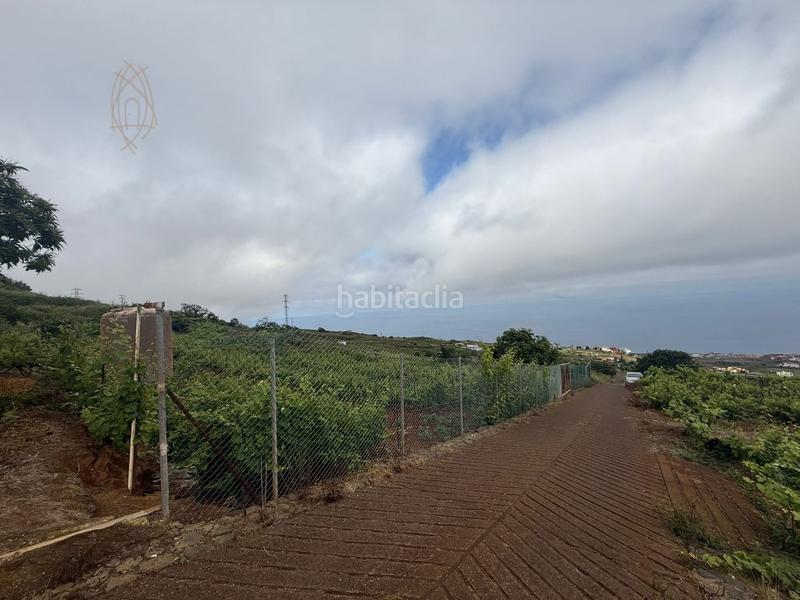 Foto ea544277-3d45-4c42-bcff-7c897ff38120. Casa finca rústica en el sauzal ravelo. en Sauzal (El)