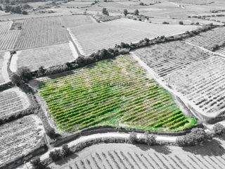 Finca r�stica  Vell de l'arbo� a cunit. Terreno agr�cola de 1 hect�rea en larbo�