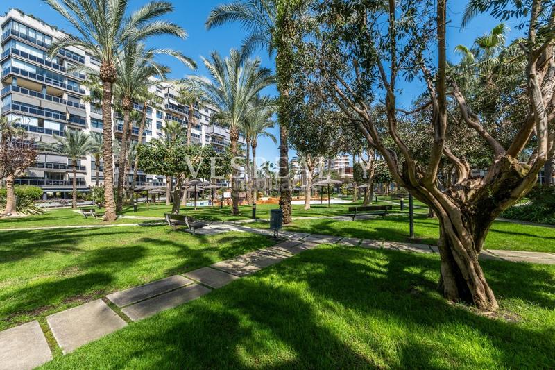 Foto 993acbe3-621e-42d1-9ce0-960b2cde9efc. Flat with heating parking pool in Alicante golf Alicante