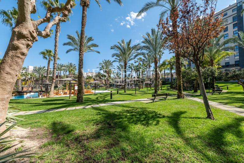 Foto ab7e9975-a39b-42fe-94ea-c328f7350a88. Flat with heating parking pool in Alicante golf Alicante