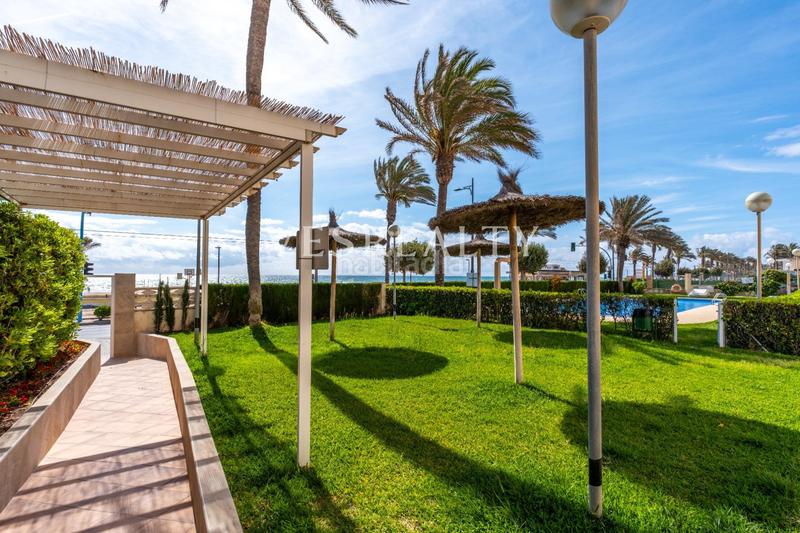 Foto cd5942cc-2a43-4d9d-9bbf-b38261ae853b. Appartamento con parcheggio piscina in Playa Muchavista Campello (el)