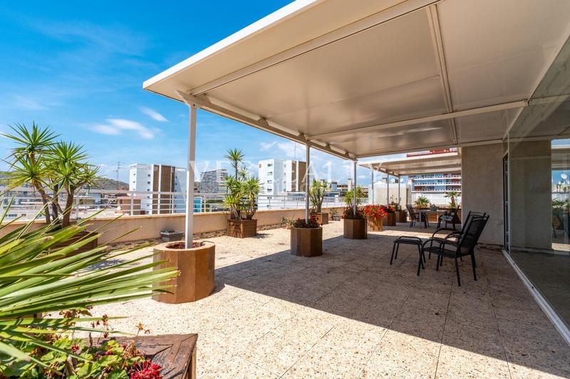 Foto 8eaeed63-52c7-455c-a788-c8e10ea3c88a. Alquiler ático en corbeta 2 en Cabo de las Huertas Alicante