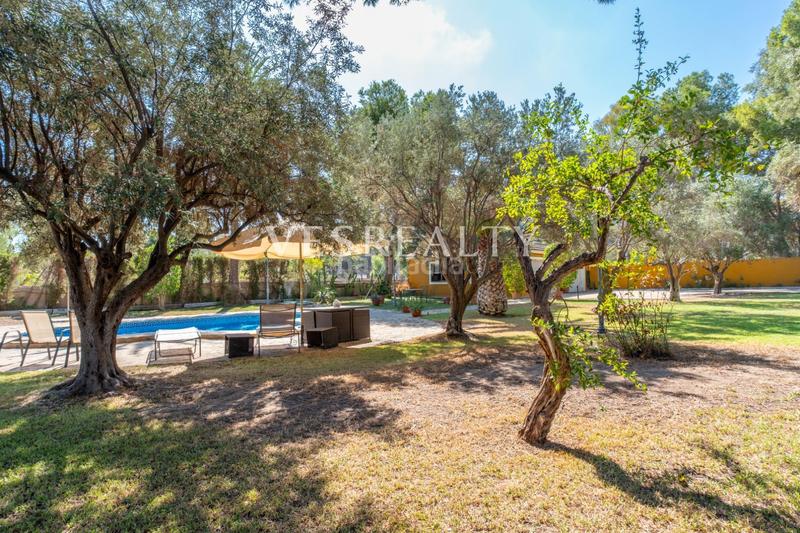 Foto ea72ae36-32a2-48df-bcbb-4ba0474b0c6f. Chalet in Vistahermosa Alicante