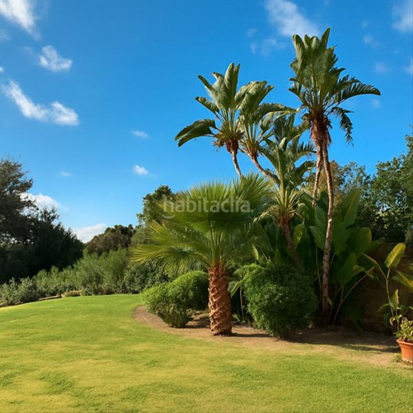 Foto b1b41f86-2e5d-485b-b65b-b3469b7645e0. Piccolo appartamento in urbanización san roque club 14 in Sotogrande