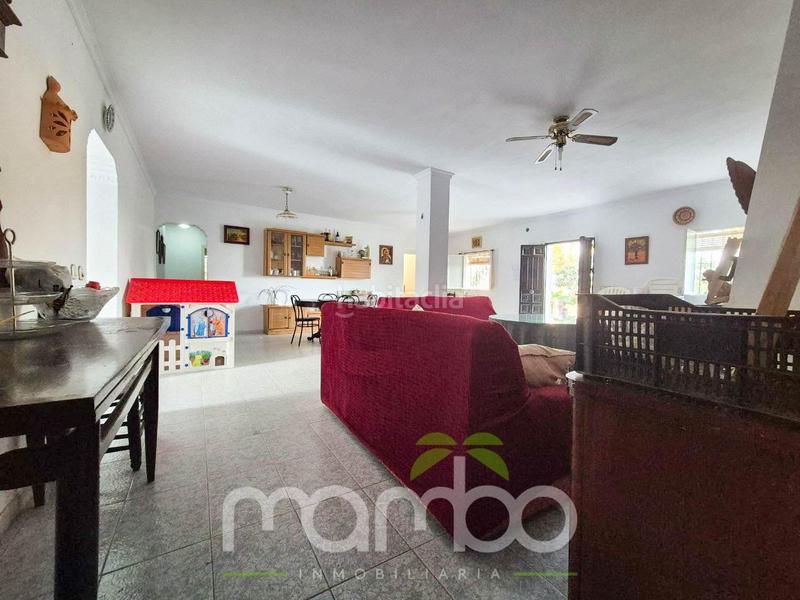 Foto 471f289a-ddf7-4c92-bde0-2e1cfa22878e. Casa venta de casa de campo con finca rústica en Viña Málaga Torre del Mar