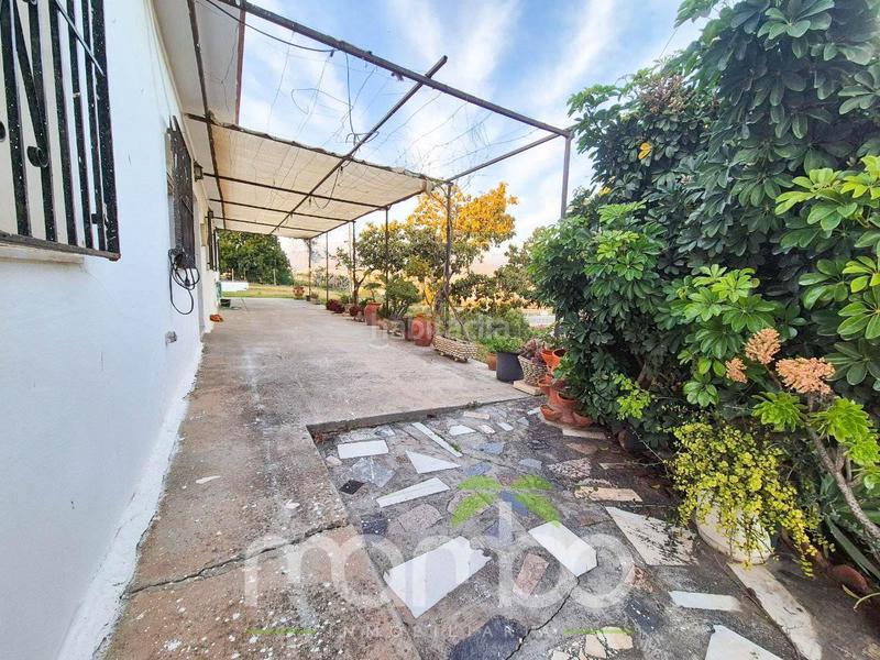 Foto f12f9539-c487-4cf0-99d7-23c21e2648f2. Casa venta de casa de campo con finca rústica en Viña Málaga Torre del Mar