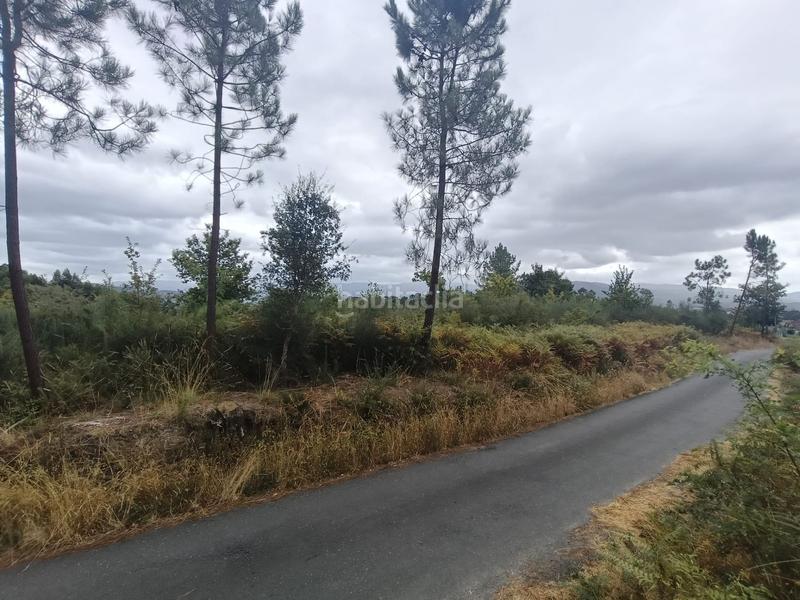 Foto f7de7ff1-c6e1-4517-aa87-b61a3218dbcf. Terreno residencial terreno en fiolledo salvaterra en Salvaterra de Miño