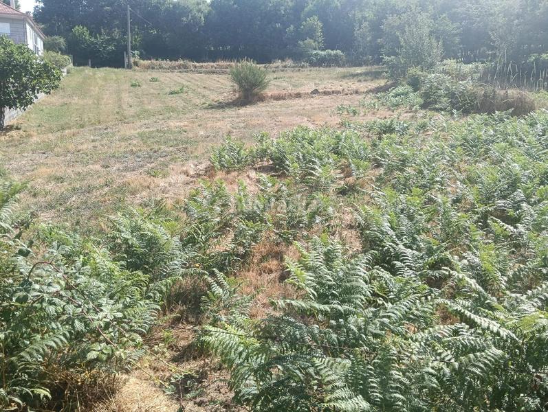 Foto 3d1fa517-5a03-4eec-8baa-15a7c330d441. Masia a Bola (A)