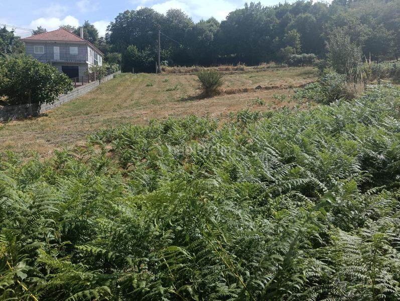 Foto ccfbf188-98e5-4321-89ea-3431573ffe2d. Masia a Bola (A)