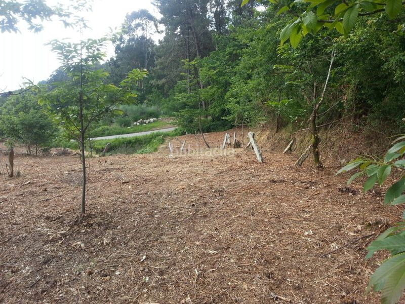 Foto 5ffa2926-5a36-4fd8-89c2-0357f04605d6. Casa a Vilaboa