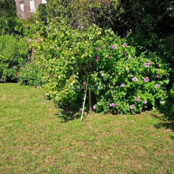 Foto f8d4647c-ce91-4d75-83ed-6f8b42ec473b. Xalet amb aparcament a O Hío Cangas