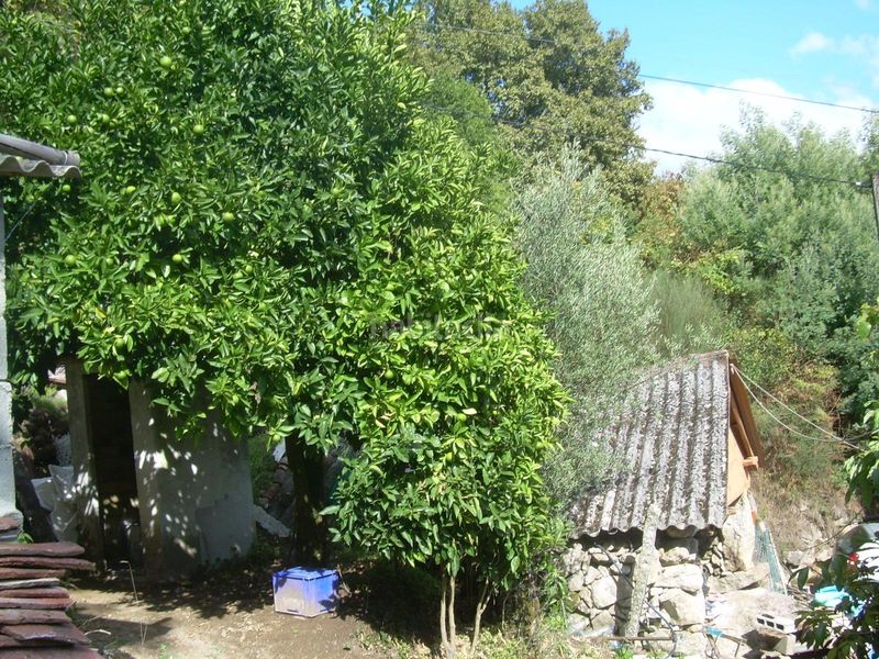 Foto f467593c-d585-48b9-9e5e-2478fdeca6a9. Casa a Arbo