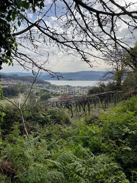 Foto 8ebe5a3a-29aa-4e12-a475-361183f26f5e. Masia a Vilaboa