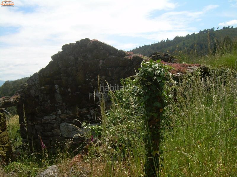 Foto 6a9fdc95-f406-4aa0-8b0a-e3d3dbecc986. Casa a Cañiza (A)