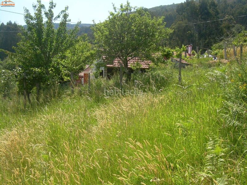 Foto b3805597-225d-4956-8ae2-11c1319526cc. Casa a Cañiza (A)