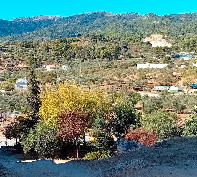 Foto 5f93cc6b-6992-457f-8c43-962278578c13. Casa a schiera con camino in Yunquera