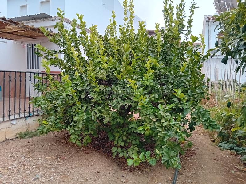 Foto 4465d083-e463-49bb-a5c2-60c70a38bd6b. Casa adosada en Yunquera