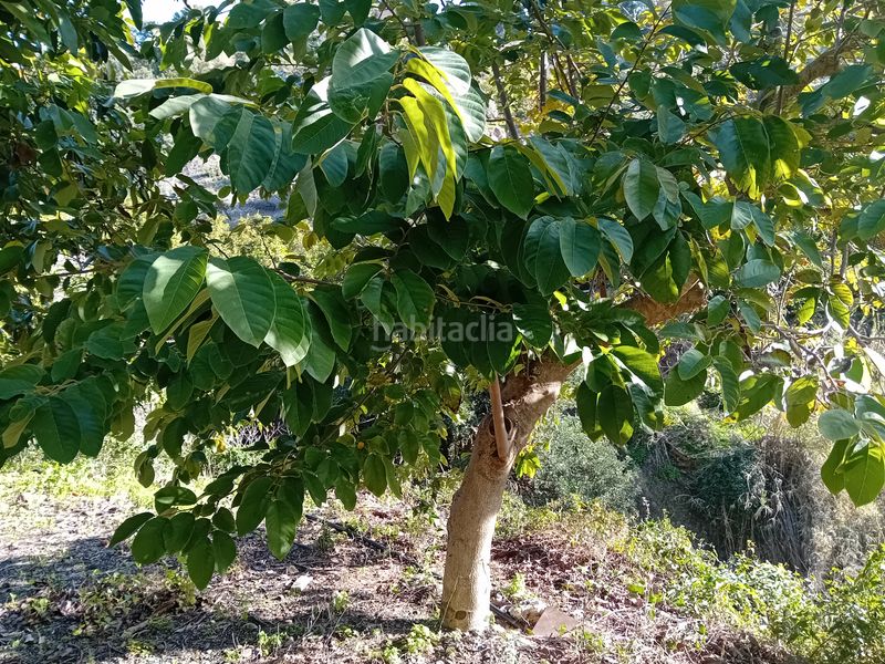 Foto 7d6f2d25-68e0-4d21-95e3-e204fac67d97. Finca rústica a Yunquera
