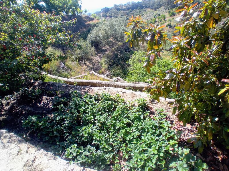 Foto 333b57fb-cd03-4bec-8b24-73d33f8612d7. Masia a Yunquera