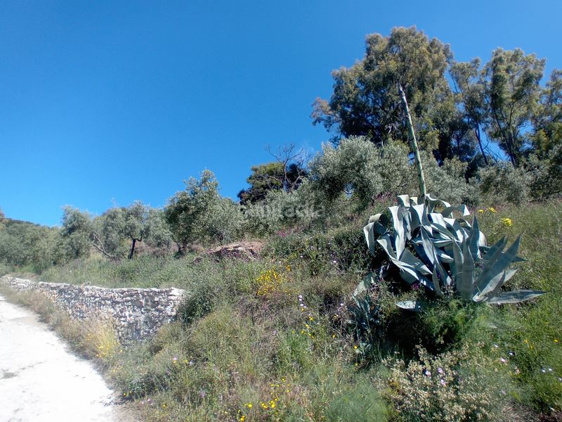 Foto 73fda84f-d5e6-406f-92ad-e8664a65f139. Masia a Yunquera
