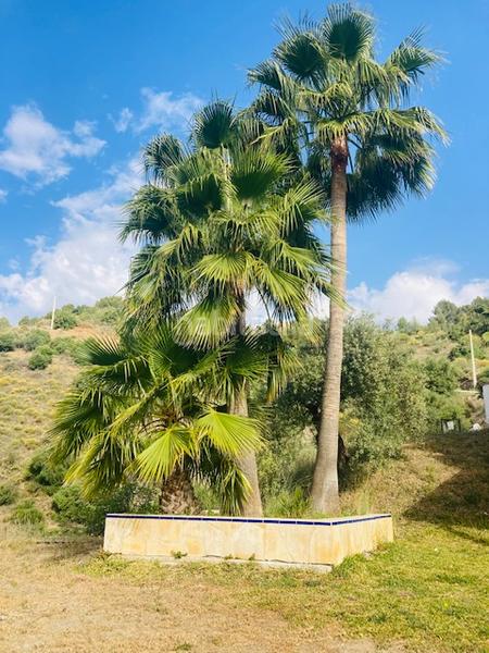 Foto 64db58c7-4326-4770-a96a-f24e2e3b54b0. Edifici amb piscina a Alozaina