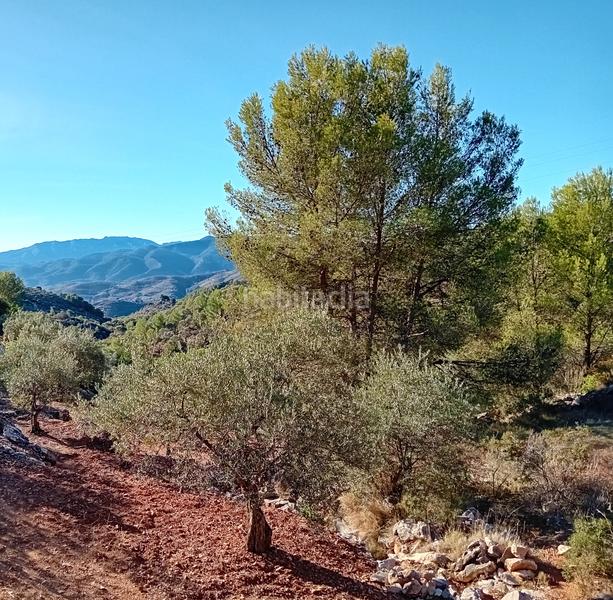 Foto 081a49f0-c4c0-4894-9763-9e84e1968921. Propriété dans Yunquera