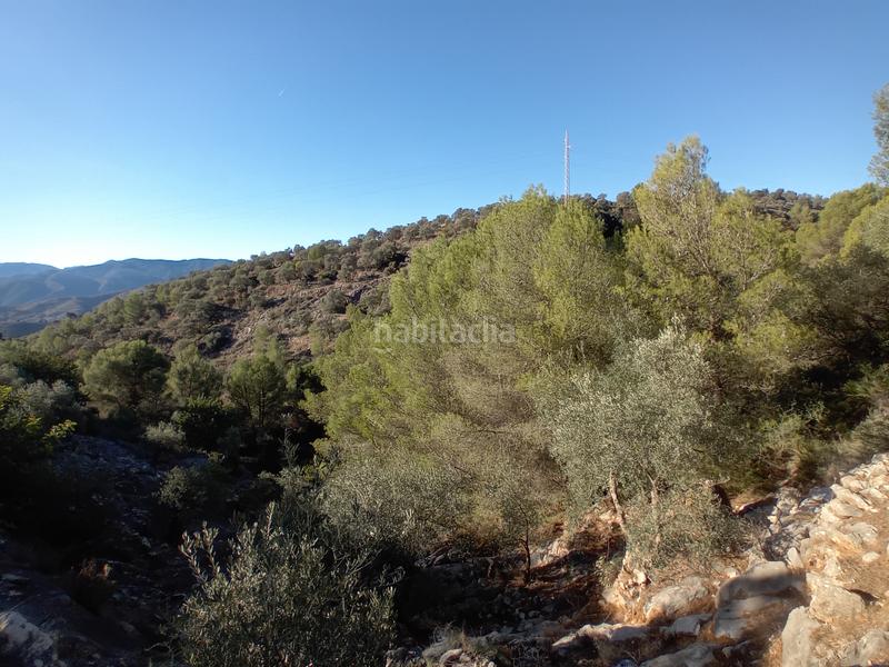 Foto 0851a38b-1c12-484d-9981-cbedfacbc4e2. Propriété dans Yunquera