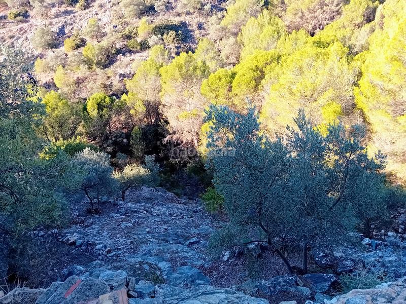 Foto 0b8c9ea3-0ece-41be-b377-2aebe7d5b6ac. Propriété dans Yunquera