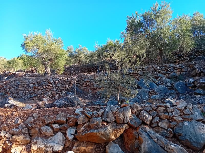 Foto 0ca003a9-eb04-4d98-8d78-71dbf347f234. Propriété dans Yunquera