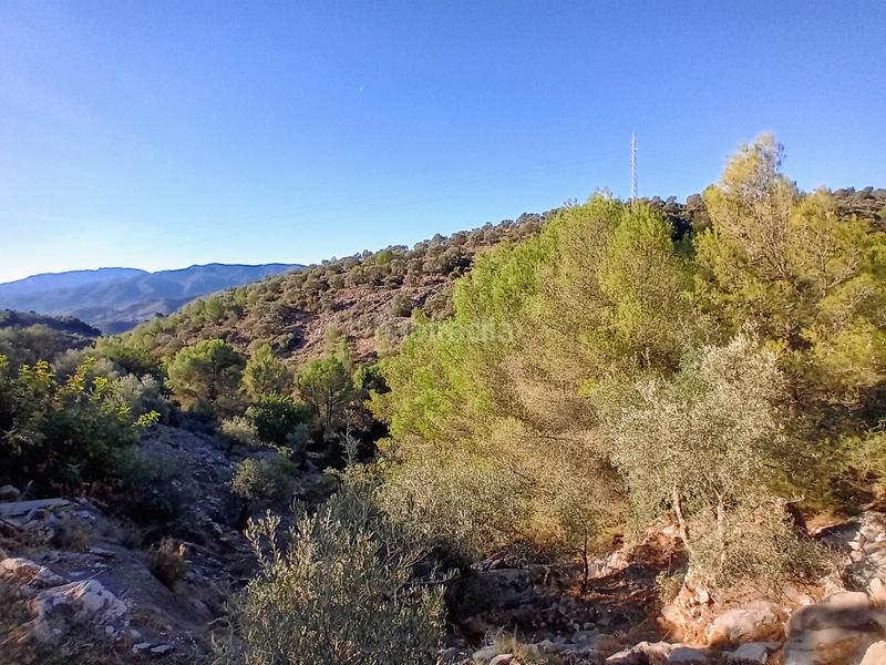 Foto 1434a69d-0f93-4a2e-9baa-112e8aec54b4. Propriété dans Yunquera