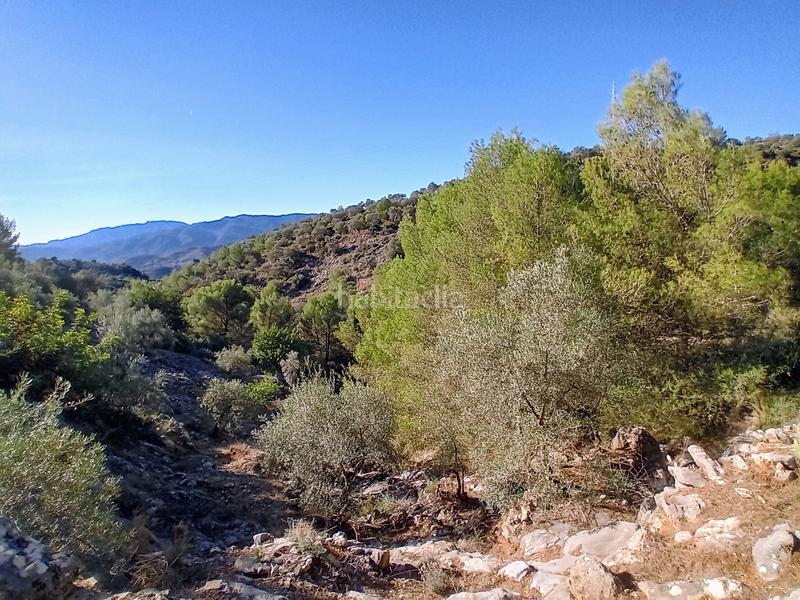 Foto 67d3855e-ba60-484f-be07-af372a1e6ffa. Propriété dans Yunquera