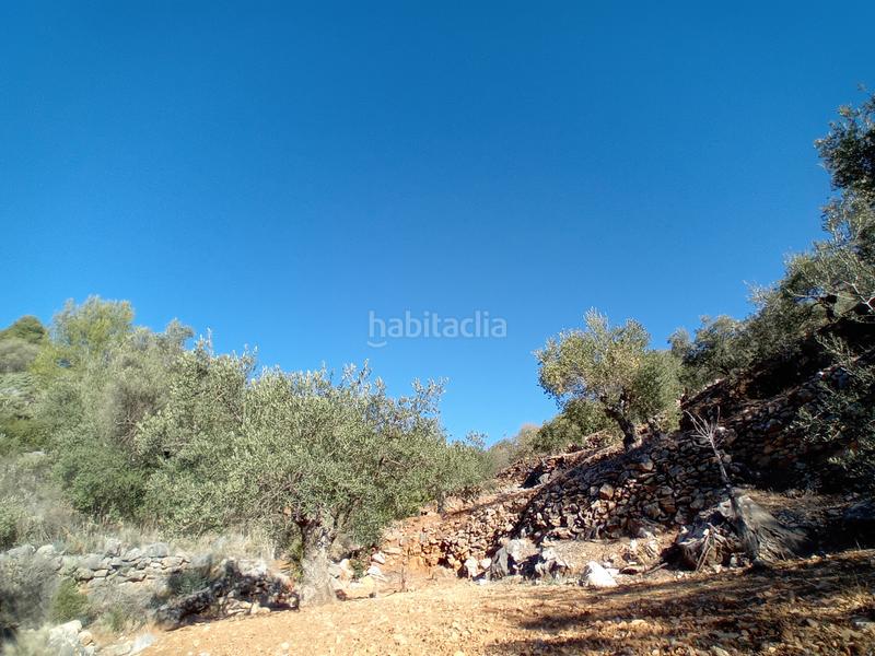 Foto bb7fc40d-af59-4a39-bdb1-3097366ab88e. Propriété dans Yunquera