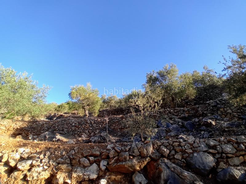 Foto c3d7266d-100c-415d-994b-b597bfc6cd83. Propriété dans Yunquera