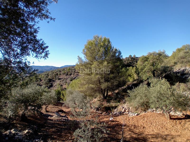 Foto ec330098-c72f-4562-9713-9bb0e4201864. Propriété dans Yunquera