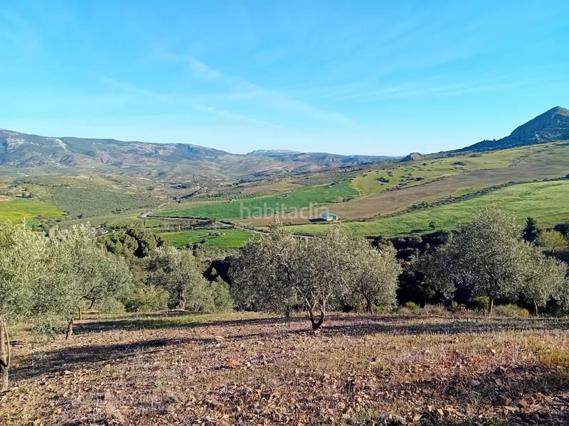 Foto 1bfb0907-8baf-4fab-9636-02dde88746f0. Finca rústica a Yunquera