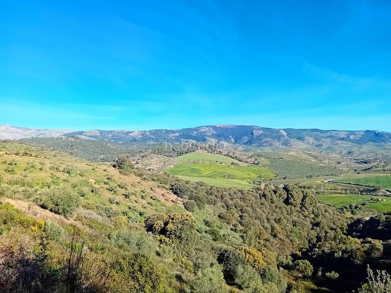 Foto 35d6abd4-294a-497c-8eeb-10b0b4d657ea. Finca rústica a Yunquera