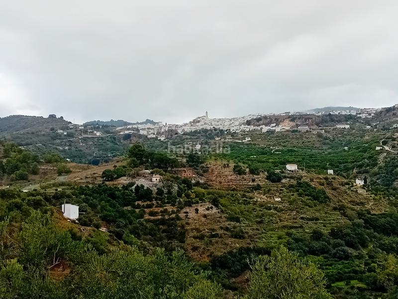 Foto 1b306619-ada9-404c-832e-185da182848f. Finca rústica a Yunquera