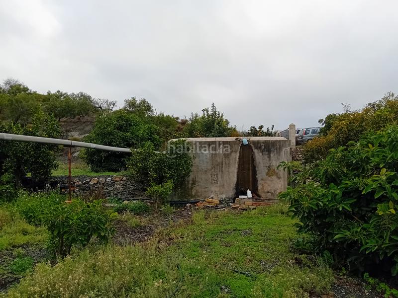 Foto 5f0bf103-89b7-4882-9b7c-cd28d1ade627. Finca rústica a Yunquera