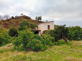 Finca rústica a Yunquera. Terreno de regadío en yunquera - un paraíso natural