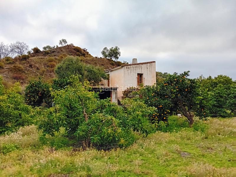 Foto 97ab0715-25e8-47ed-a48e-75ec53a67461. Finca rústica a Yunquera