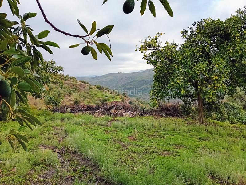 Foto 9eb86812-fa28-48e2-8fa3-e4991c624108. Finca rústica a Yunquera