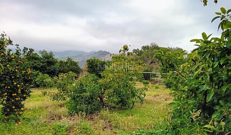 Foto a832f49d-998d-4528-b72d-d8c9e744a797. Finca rústica a Yunquera